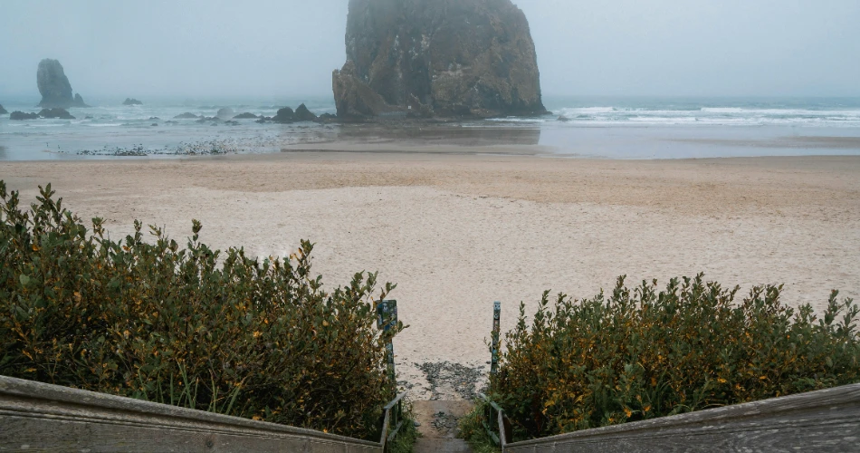 Road Trip from Portland to Seattle
