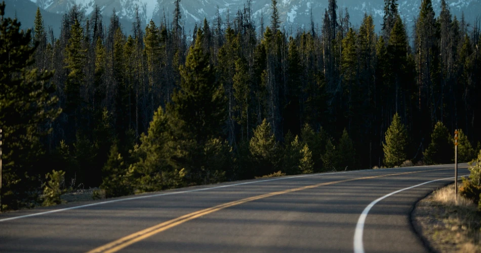 Road Trip from Portland to Seattle