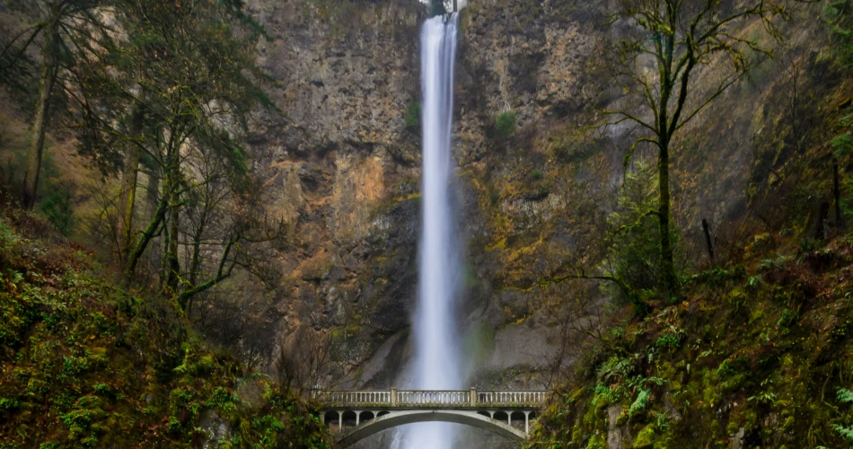 Top 10 Must Visit Attractions in Portland, Oregon