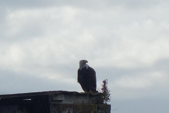Tour image 11