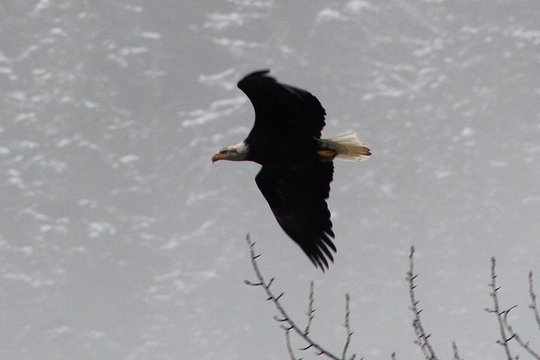 Tour image 6