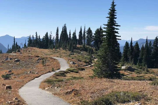 Tour image 3